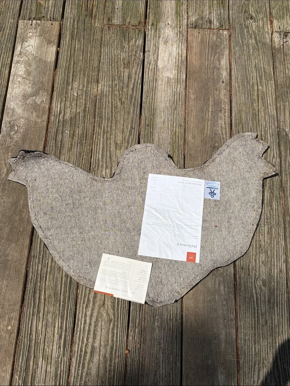 Viral Ghost Accent Rug